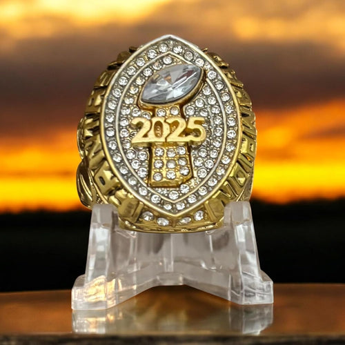 Premium 2025 FANTASY FOOTBALL CHAMPIONSHIP RING Gold and Silver